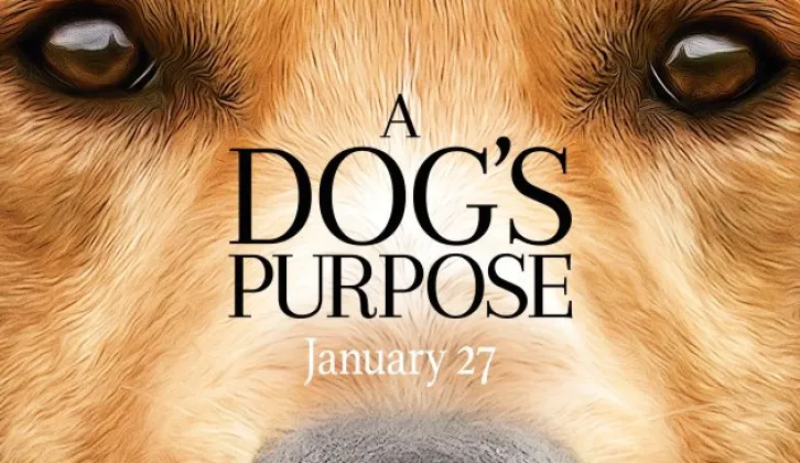 Produksi A Dog’s Purpose menyakiti hewan?