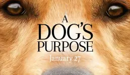 Produksi A Dogs Purpose menyakiti hewan