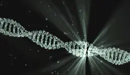 DNA Servis