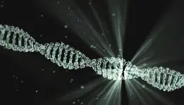 DNA Servis