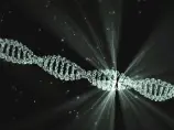 DNA Servis
