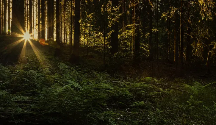 Bersinar Dalam Kegelapan