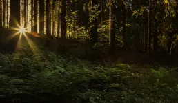 Bersinar Dalam Kegelapan